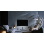 TV Loewe Stellar Oled DR+ - 48 pouces