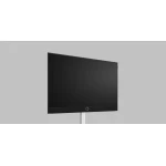 TV Loewe Stellar Oled DR+ - 65 pouces