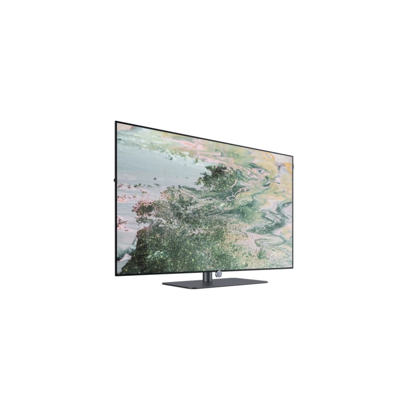 TV Loewe Inspire Oled DR+ - 55 pouces