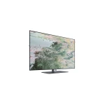 TV Loewe Inspire Oled DR+ - 55 pouces