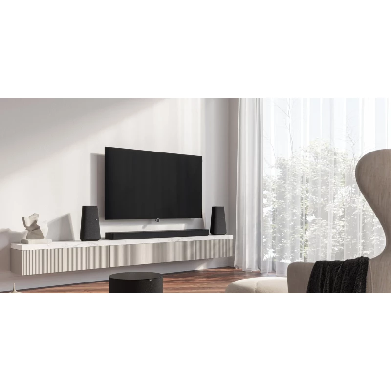 TV Loewe Inspire Oled DR+ - 55 pouces