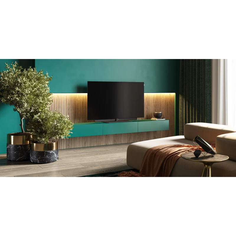 TV Loewe Inspire Oled DR+ - 55 pouces