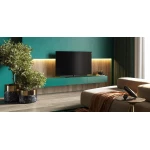 TV Loewe Inspire Oled DR+ - 55 pouces