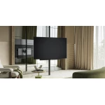 TV Loewe Inspire Oled DR+ - 55 pouces