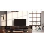 TV Loewe We See OLED - 48 pouces DC