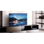 TV Loewe We See OLED - 55 pouces DC