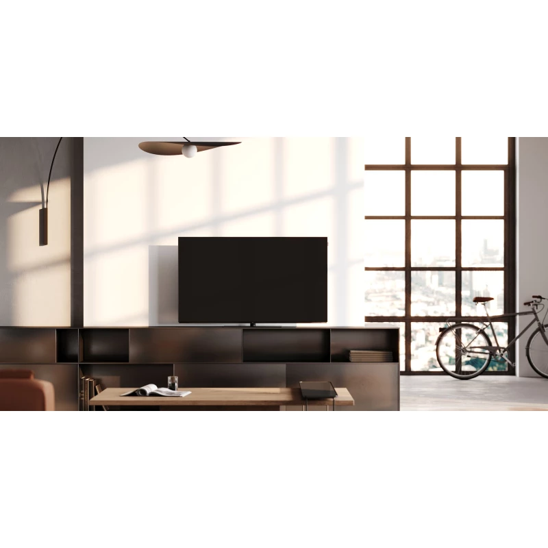 TV Loewe We See OLED - 55 pouces DC