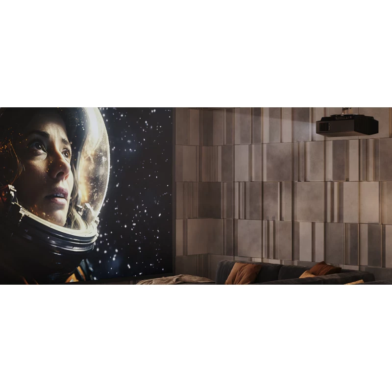 Bravia Projector 7