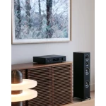 C 379 Amplificateur Intégré Stéréo Hybrid Digital